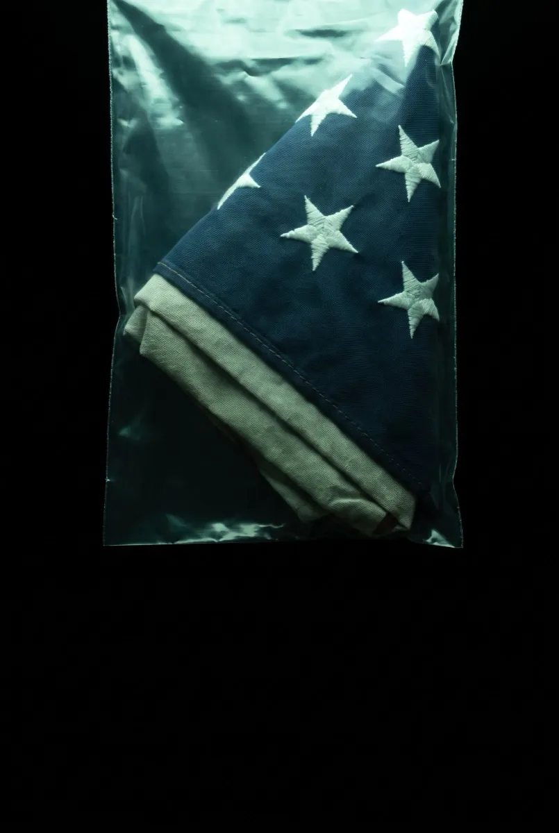 Bandera doblada en triángulo — afiche de La Reversión