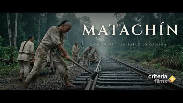 Matachín